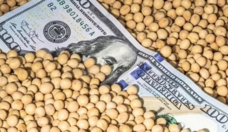 Nuevo dólar agro: en ocho días ya se negociaron 5 millones de toneladas y hubo una liquidación de más de USD 1.600 millones