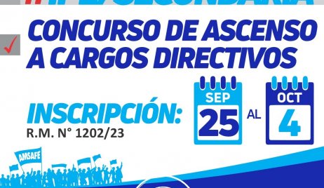 MICRO AMSAFE DELEGACION VERA
