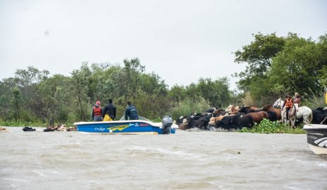 Medidas del gobierno provincial ante la crecida de los ríos.