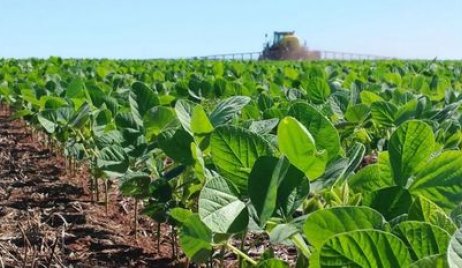 Comenzó la siembra de soja tardía en el centro-norte de Santa Fe