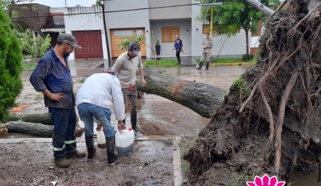 EN ACCIÓN TRAS LA TORMENTA