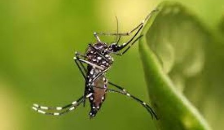 SITUACIÓN EPIDEMIOLÓGICA EN LA PROVINCIA AL 3 DE ENERO