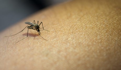 RECONQUISTA: 2 internados con Covid, 18 contagiados de dengue, y advierten sobre la leptospirosis