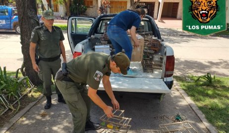 Procedieron al resguardo de animales de la Fauna Silvestre