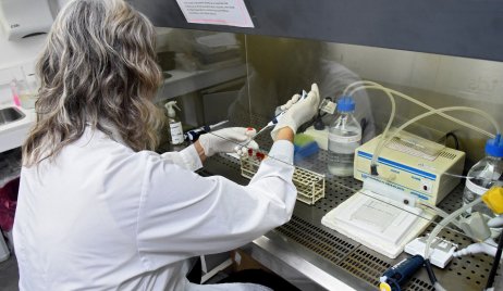 La Encefalitis Equina del Oeste se podrá detectar en laboratorios públicos de la Provinci