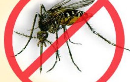 Recomendaciones para combatir el dengue
