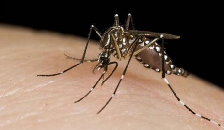 Dengue: situación epidemiológica en la Provincia de Santa Fe