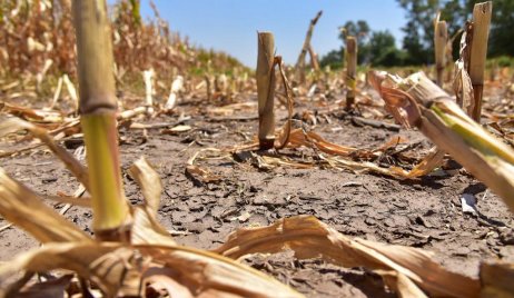 Extiende plazos para tramitar emergencia agropecuaria