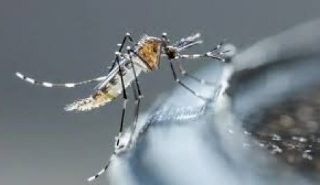 Dengue en Santa Fe