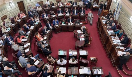 NOTA DE OPINIÓN: UNA CONVENCIÓN QUE NO CONVENCE