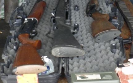 SECUESTRARON 90 POLLOS EN PROCEDIMIENTO LOS PUMAS