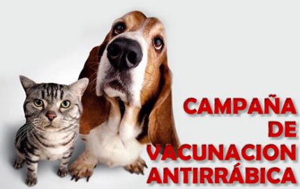 Campaña Municipal de castracíón y vacunación antirrábica
