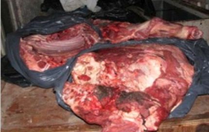FUE DETENIDO POR “LOS PUMAS” MIENTRAS CARNEABA A LA VERA DEL CAMINO