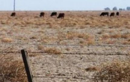 Preocupan los efectos de la sequía en la provincia 