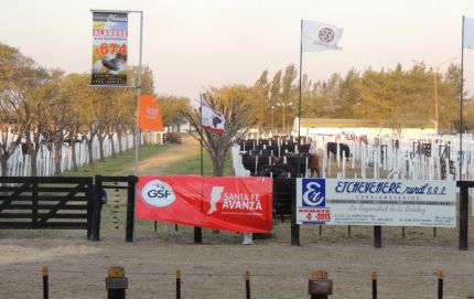 Se llevó a cabo una nueva edición de la Expo-Rural