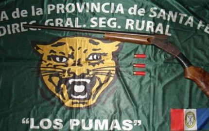 ABIGEATO EN LA GALLARETA