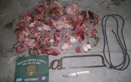 ARRESTAN A DOS MASCULINOS POR EL HURTO DE 10 ANIMALES VACUNOS