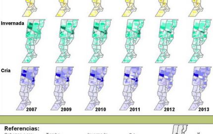 VERA:El Ipec dio a conocer los resultados de la encuesta ganadera desde 2007 a 2013