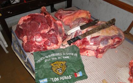 PROCEDIMIENTOS DE LA GUARDIA RURAL LOS PUMAS DE ROMANG