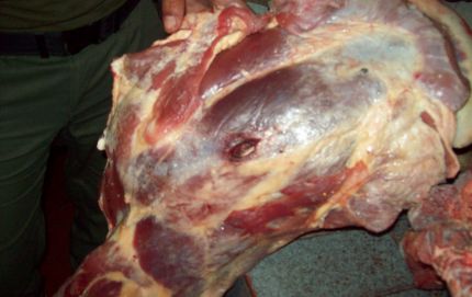 DOS MASCULINOS APREHENDIDOS Y SECUESTRO DE PRODUCTOS CARNEOS.