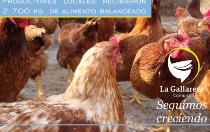 Productores locales recibieron 2.700 kg. de alimento balanceado