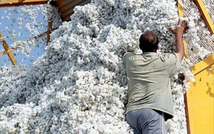 Triunfo de los trabajadores desmotadores en la paritaria salarial