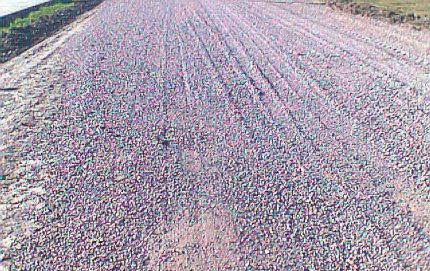 Intiyaco apunta al “Barro Cero”