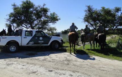 SECUESTRO DE ANIMALES VACUNOS CON ADULTERACIONES DE MARCA  EN SAN JAVIER