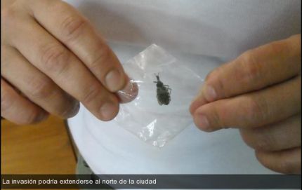 PROYECTO SOBRE CHAGAS DEL SENADOR PUCHETA