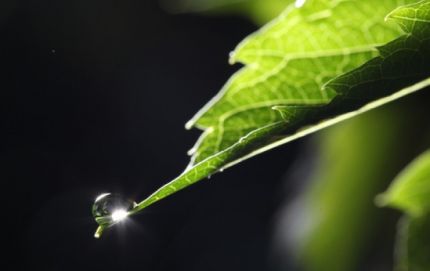 DATOS DE LLUVIA Y PRONOSTICO EXTENDIDO