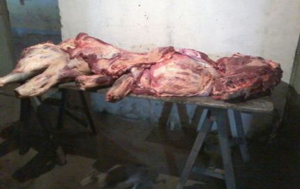  TRES APREHENDIDOS POR ROBO DE ANIMALES EN VILLA OCAMPO.