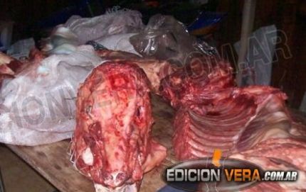 ALLANAN UNA VIVIENDA POR ABIGEATO EN VILLA MINETTI.