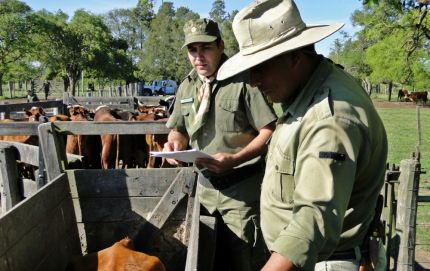 DOS PERSONAS IMPUTADAS POR DELITO DE ABIGEATO AGRAVADO