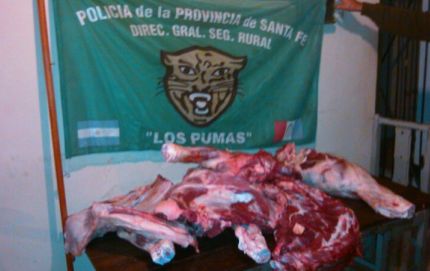 Se decomisa carne vacuna y porcina, no apta para consumo humano