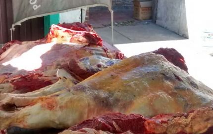 Villa Ocampo: aprehendidos  y secuestros por abigeato.