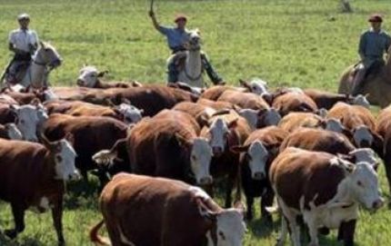 El sentir de los productores en el Norte de Santa Fe.