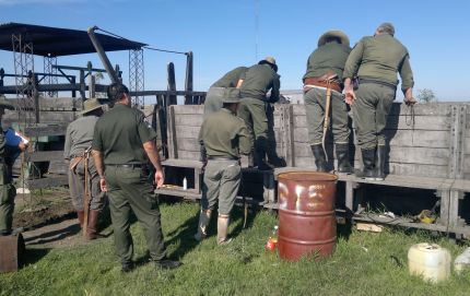 IMPORTANTE ESCLARECIMIENTO DE  ROBO DE GANADO EN LA CIGUEÑA.-