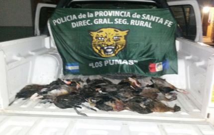 Robo de animales esclarecido por Los Pumas en Villa Ocampo.