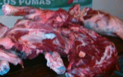 Los Pumas aprehenden a un hombre por abigeato.
