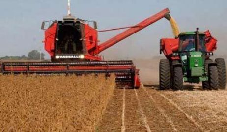 Centro Norte: Los días de sol permitieron las actividades de siembra y cosecha