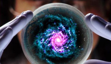 Científicos afirman que hallaron una semilla alienígena enviada intencionalmente a la Tierra