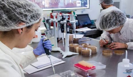 EL INTI creó un pegamento a base de caseína de leche