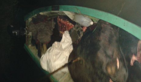 Personal de la Dirección General de Seguridad Rural “Los Pumas” esclarece ABIGEATO.-