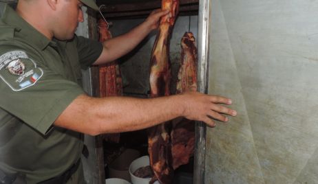 Secuestraron 580 kilos de carne vacuna en nueve allanamientos simultáneos en Villa Ana