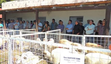 Se desarrolló una jornada sobre ley ovina y manejo general en Las Gamas Integradas