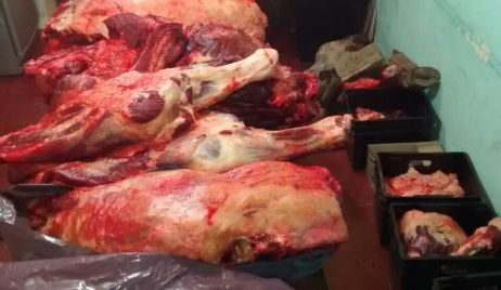 Operativos de la Guardia Rural Los Pumas