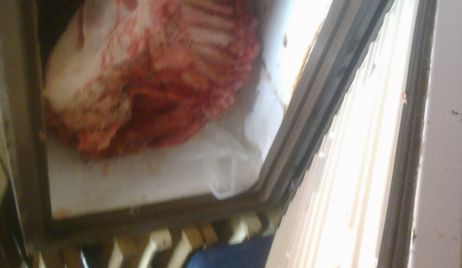Seguridad Rural detiene a “Cuatreros” en el departamento 9 de Julio.- 