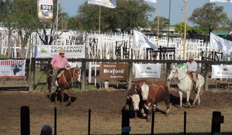 ANUNCIARON LA EXPOVERA