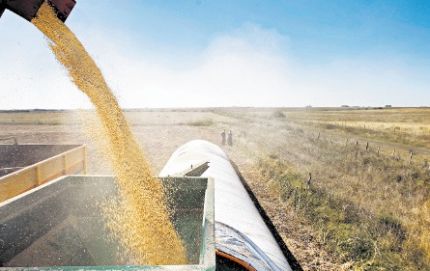 Lluvias beneficiosas para agro del norte