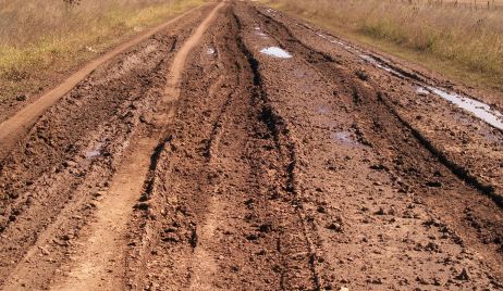 CONVOCAN A PRODUCTORES